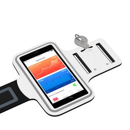 milanAPP下载入口官网-智能体育训练辅助工具研发与应用,智能体育训练辅助工具研发与应用论文