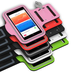 milanAPP下载入口官网-智能体育训练辅助工具研发与应用,智能体育训练辅助工具研发与应用论文