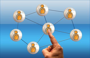 米兰官网-英超球员社交媒体互动提升粉丝忠诚度研究，英超球队球迷