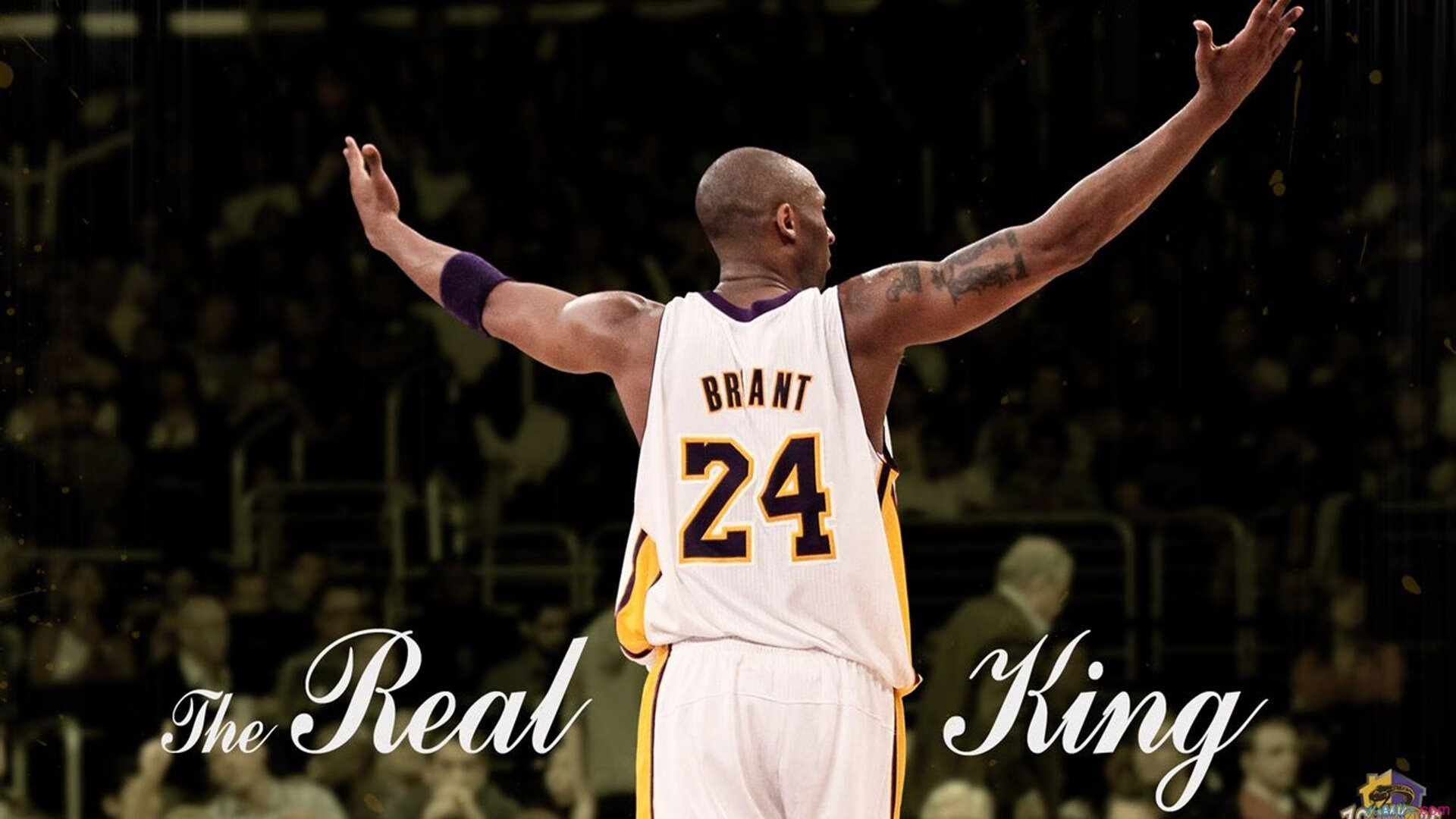 米兰体育在线-“牛仔3K亲子跑:亲子共跑,欢乐无限”